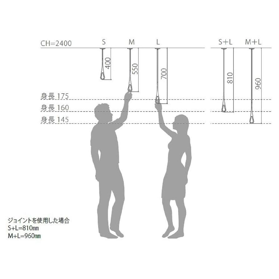 NASTA ナスタ KS-NRP020-MM-WR エアフープ 天井取付タイプ ナスタ KS-NRP020-MM-BKGR | 室内物干しユニット | 住の森